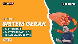 SISTEM GERAK  Materi Biologi SMA Ujian Mandiri PTN dan Perkuliahan  Part 17 [upl. by Andryc]