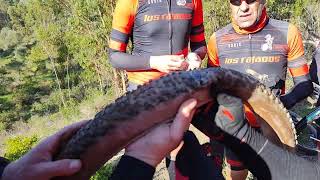 MTB RUTA DEL DRAGON [upl. by Carrie37]