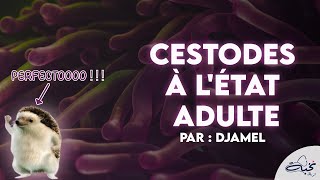 Parasitolgie  Cestodes à létat Adulte Par DJAMEL [upl. by Howarth92]