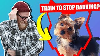 How To Stop Your YORKSHIRE TERRIER Barking [upl. by Wane]