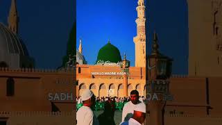 islamic status 2024 islam viral madina [upl. by Mersey]