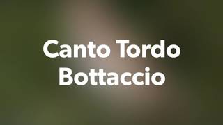 Canto Tordo Bottaccio [upl. by Silvain986]