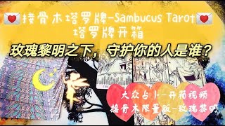 黑貓塔羅⚡塔罗牌开箱💐接骨木塔罗牌Sambucus Tarot [upl. by Vedis]