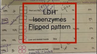 LDH isoenzymesLactate dehydrogenase isoenzymesflipped pattern [upl. by Ynnoj805]