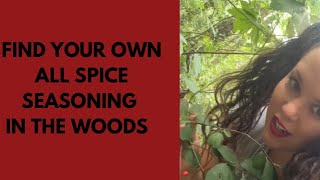 🌳Find your Own All Spice Seasoning in the Woods 🪵 [upl. by Eldnek438]