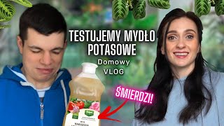 Testujemy mydło potasowe do zwalczania robactwa 🐛🌿Domowy vlog🌱 Gosia i Miłosz Vlog [upl. by Peursem751]