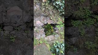 Vasai Fort  Vasai virar  Maharashtra itsanneisvlogs123 [upl. by Tory]