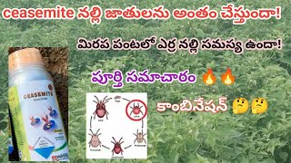 ceasemite insecticide uses in Telugu  ceasemite insecticide  erra nalli nivarana in mirchi  nalli [upl. by Grosmark396]