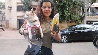 Qayamat ka Din  Dogs Vaccination Day  Ss vlogs [upl. by Tillman]