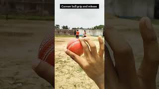 Carrom ball grip and release 👍🏏sorts sports cricketshorts spinbowling cricket [upl. by Burnham880]