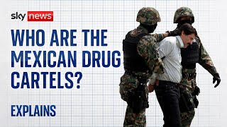 Who are the Mexican drug cartels [upl. by Amirak]