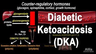 Diabetic Ketoacidosis DKA Pathophysiology Animation [upl. by Isidro720]