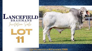 Lot 11 Lancefield M Faulkner 7999 [upl. by Valentijn]