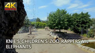 Knies Childrens Zoo Rapperswil Switzerland elephants [upl. by Dafodil]