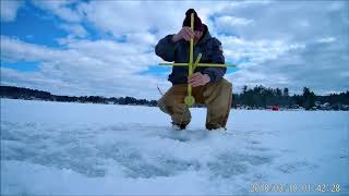 Ice Fishing New Hampshire Perch Pickerel Bass and a Hornpout [upl. by Ayoras281]