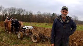 A Young Man amp His Old Plow  Draft Horses Plowing a Field 556 [upl. by Erelia]