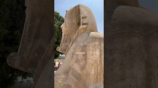 Stunning Detail on this Memphis Sphinx shorts egypt travel [upl. by Asher]