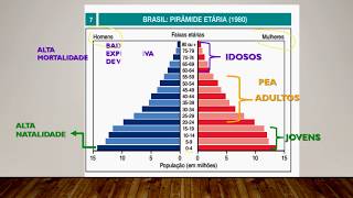 População brasileira  análise das pirâmides etárias do Brasil [upl. by Alleiram619]