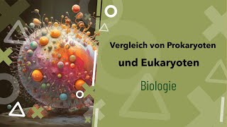 Pro und Eukaryoten im Vergleich Was ist der Unterschied  Zelle  Beispiele  Zellkern [upl. by Hartwell]