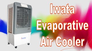 Iwata Airblaster X Air Cooler [upl. by Esilenna489]