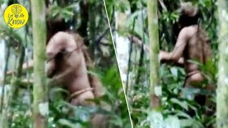 After 22 Years Living Alone In The Amazon This Tribal Massacre Survivor Was Captured On Camera [upl. by Isnyl461]