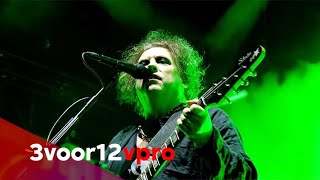 The Cure  A Forest live at Pinkpop 2019 [upl. by Hemetaf]