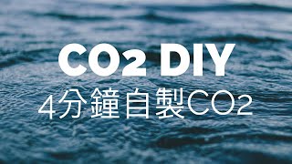 【水族筆記】CO2 DIY：4分鐘快速學會自製二氧化碳，詳細步驟教學！ [upl. by Lirba]