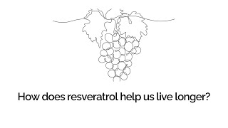 What are the key antioxidant and antiinflammatory benefits of resveratrol [upl. by Millburn]