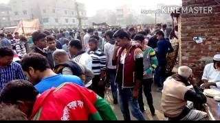 বাংলাদেশের সর্ব বৃহৎ কাপ্তান বাজার পাখির হাট Kaptan Bazar pakhir haat [upl. by Swayder]