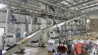 50 TPD Mustard Oil Mill Plant installed on Turnkey Basis in India by Goyum Group [upl. by Ssyla]