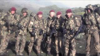 2 Para Falklands [upl. by Nuli442]