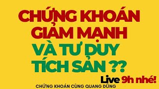 CHỨNG KHOÁN GIẢM MẠNH VÀ TÍCH SẢN CỔ PHIẾU   ĐẦU TƯ CHỨNG KHOÁN [upl. by Nhguavaj]