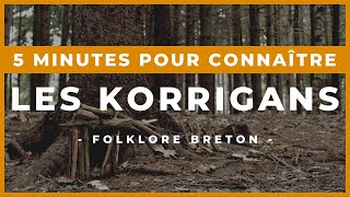 5 MINUTES POUR CONNAÎTRE LES KORRIGANS [upl. by Stanislaus118]