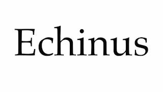 How to Pronounce Echinus [upl. by Avictor]