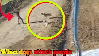 Dogs Attacking People Compilation [upl. by Yseulte]