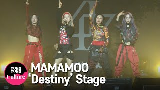 MAMAMOO마마무 우린 결국 다시 만날 운명이었지Destiny Showcase Stage 쇼케이스 무대 솔라 문별 휘인 화사 통통TV [upl. by Peppie]