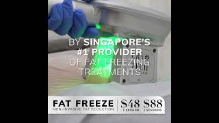 Freeze Fats in 1 hour at 48 up to 25 fat reduction 1 Fat Freeze provider in SG [upl. by Nuzzi]