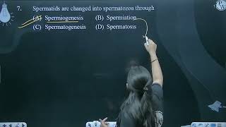 Spermatids are changed into spermatozoa through [upl. by Ahsemal]