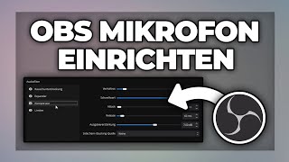 OBS Mikrofon richtig einstellen amp Rauschen entfernen  Tutorial [upl. by Peddada500]