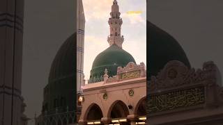 Hara Gumbad Jo Dekhoge Zamana Bhool Jaoge Naat  Heart Touching Naat  Ghulam Mustafa Qadri Studio5 [upl. by Ericha281]