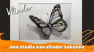 Hoe Teken je een Vlinder met Houtskool potlood [upl. by Ynaffets]