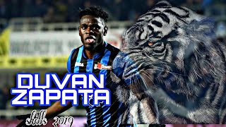 Duvan Zapata 2019 ● Skills ● Atalanta  HD [upl. by Oterol]