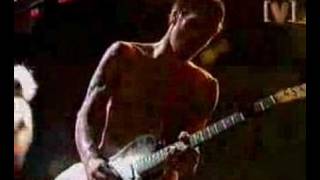 Red Hot Chili Peppers  Easily Live [upl. by Oakie1]