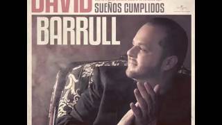 David Barrul  estoy echo de pedacitos de ti [upl. by Agnimod]