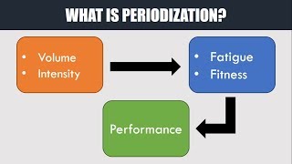 What is Periodization  How to Plan and Manage Training [upl. by Cita900]