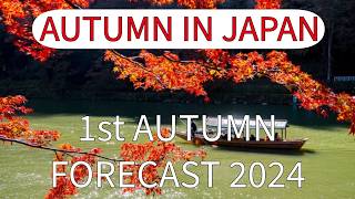 2024 Japan first Autumn Leaves Forecast to Plan Your Perfect Trip [upl. by Adaiha]