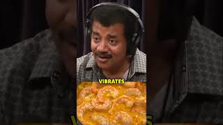 Neil deGrasse Tyson on Are Microwaves Safe to Humans Life ☢️ physics microwave health shorts [upl. by Isolda]