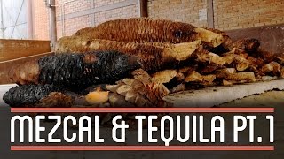 Mezcal and Tequila 13  How to Brew Everything [upl. by Arvell913]