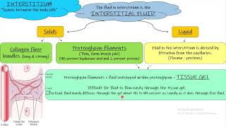 Interstitial Fluid Chapter 16 part 5 Guyton and hall Physiology [upl. by Innor]