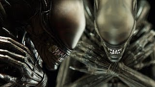 ALIEN ORIGINS  THE REAL NAME FOR THE XENOMORPH EXPLAINED  HISTORY OF THE ALIEN CREATURE [upl. by Hahnert]